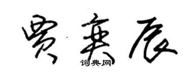 朱锡荣贾奕辰草书个性签名怎么写