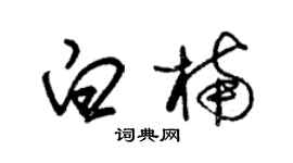 朱锡荣白楠草书个性签名怎么写