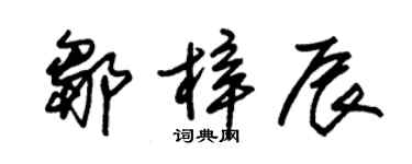朱锡荣邹梓辰草书个性签名怎么写