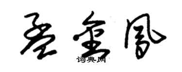 朱锡荣孟金凤草书个性签名怎么写