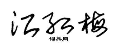 朱锡荣江红梅草书个性签名怎么写