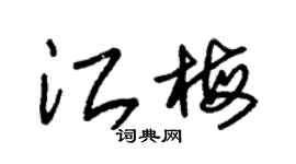 朱锡荣江梅草书个性签名怎么写