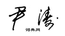 朱锡荣尹涛草书个性签名怎么写
