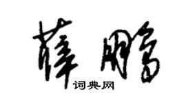 朱锡荣薛鹏草书个性签名怎么写