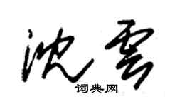 朱锡荣沈云草书个性签名怎么写
