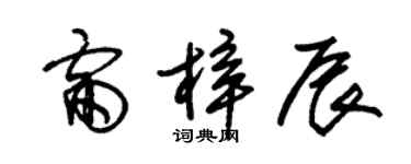 朱锡荣雷梓辰草书个性签名怎么写