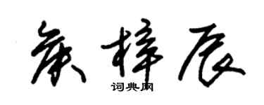 朱锡荣侯梓辰草书个性签名怎么写