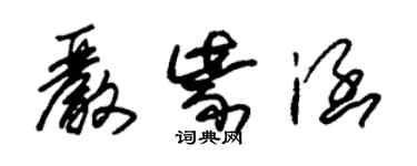 朱锡荣严紫涵草书个性签名怎么写