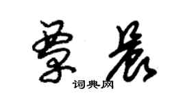 朱锡荣覃晨草书个性签名怎么写
