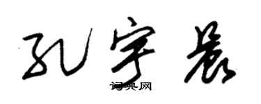 朱锡荣孔宇晨草书个性签名怎么写