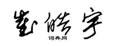 朱锡荣崔皓宇草书个性签名怎么写