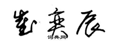 朱锡荣崔奕辰草书个性签名怎么写