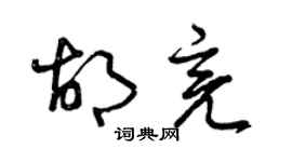 曾庆福胡亮草书个性签名怎么写