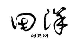 曾庆福田洋草书个性签名怎么写