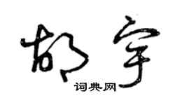 曾庆福胡宇草书个性签名怎么写