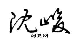 曾庆福沈峻草书个性签名怎么写