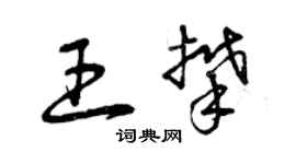 曾庆福王攀草书个性签名怎么写
