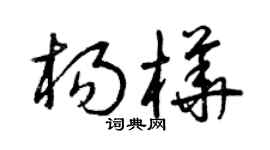 曾庆福杨桦草书个性签名怎么写