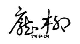 曾庆福庞柳草书个性签名怎么写