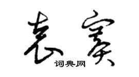 曾庆福袁赛草书个性签名怎么写