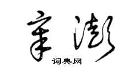 曾庆福章澎草书个性签名怎么写