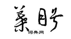 曾庆福叶盼草书个性签名怎么写