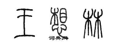 陈墨王想林篆书个性签名怎么写