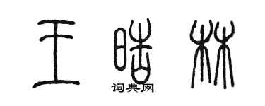 陈墨王皓林篆书个性签名怎么写