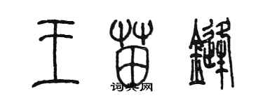 陈墨王苗锋篆书个性签名怎么写
