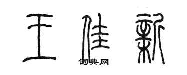 陈墨王佳新篆书个性签名怎么写