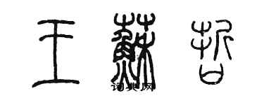 陈墨王苏哲篆书个性签名怎么写