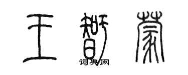 陈墨王智蒙篆书个性签名怎么写