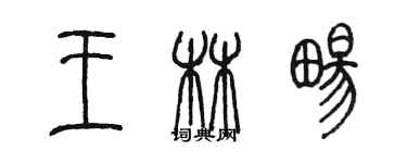 陈墨王林畅篆书个性签名怎么写