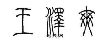 陈墨王泽爽篆书个性签名怎么写