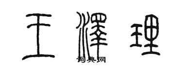 陈墨王泽理篆书个性签名怎么写
