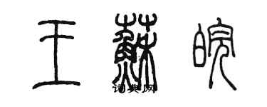 陈墨王苏皖篆书个性签名怎么写