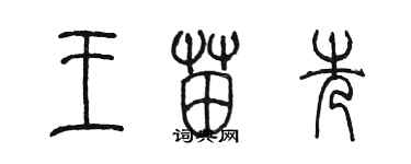 陈墨王苗先篆书个性签名怎么写