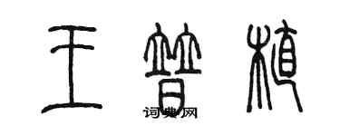 陈墨王普植篆书个性签名怎么写
