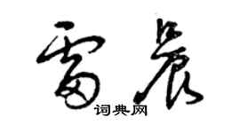 曾庆福雷晨草书个性签名怎么写