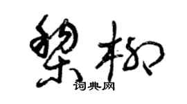 曾庆福黎柳草书个性签名怎么写