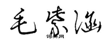曾庆福毛紫涵草书个性签名怎么写