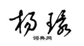 梁锦英杨环草书个性签名怎么写