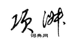 梁锦英项淑草书个性签名怎么写