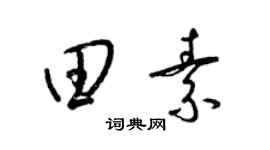 梁锦英田素草书个性签名怎么写