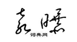 梁锦英袁曝草书个性签名怎么写