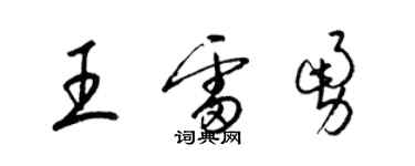 梁锦英王雷勇草书个性签名怎么写