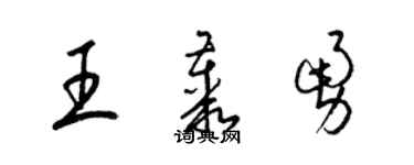 梁锦英王丛勇草书个性签名怎么写