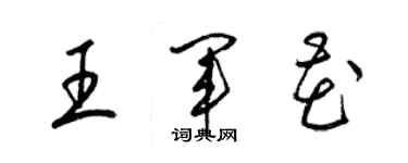 梁锦英王军花草书个性签名怎么写