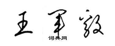 梁锦英王军毅草书个性签名怎么写
