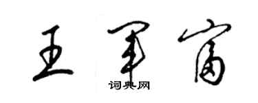 梁锦英王军富草书个性签名怎么写